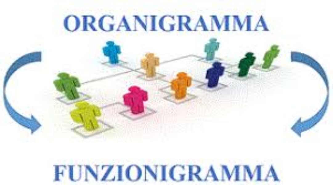 Organigramma e Funzionigramma